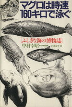 【中古】 マグロは時速160キロで泳ぐ　ふしぎな海の博物誌／中村幸昭(著者)