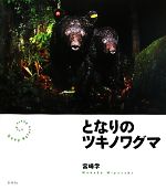 【中古】 となりのツキノワグマ／宮崎学【著】のサムネイル