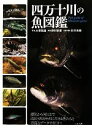 【中古】 四万十川の魚図鑑/大塚高雄【写真】,野村彩恵【解説】,杉村光俊【企画・構成】(3)