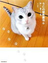 【中古】 うにの秘密基地 新しい暮らし篇 スターPETシリーズ/うにまむ【著】