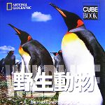 【中古】 ナショナルジオグラフィック　野生動物 ナショナルジオグラフィックCUBE　BOOK／ヴァレリア・マンフェルト・デファビアニス【編】，クリスティーナ・マリアバンフィ，ジョルジォ・G．バルデッリ，アンジェラ・セレナイルドス，コリンモン