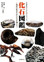【中古】 化石図鑑 地球の歴史をかたる古生物たち 示準化石ビジュアルガイドブック/中島礼,利光誠一【著】