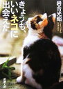 【中古】 写真集 きょうも、いいネコに出会えた 新潮文庫/岩合光昭【著】