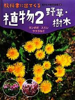 【中古】 植物(2) 野草・樹木　タンポポ・スミレ・サクラなど 教科書に出てくる生きもの観察図鑑3／大場達之【監修】