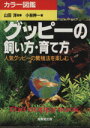 【中古】 グッピーの飼い方・育て方 カラー図鑑/小林伸一(著者)