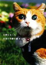【中古】 天使になった全盲の奇跡の猫 チョキ/くろけん,maoi【写真】
