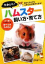 【中古】 かわいいハムスター　飼