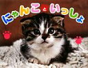 【中古】 にゃんこといっしょ/長崎猫の会.【編著】
