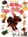 【中古】 小動物の飼い方図鑑 ワイド版・動物図鑑シリーズ／河野朝城【監修】