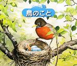 【中古】 鳥のこと 自然スケッチ絵本館／キャスリンシル【文】，ジョンシル【絵】，鈴木有子【訳】のサムネイル