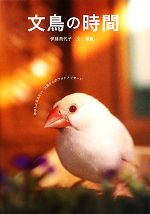 【中古】 文鳥の時間 あなたに伝えたい文鳥からのフォトメッセージ／伊藤美代子【文・写真】