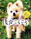 【中古】 俊介ころころ ツイッター犬俊介のまいにち/芸術・芸能・エンタメ・アート