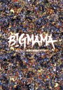 【中古】 ～母と行く 魅惑の映像世界の旅～／BIGMAMA