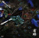 【中古】 雀蜂/女王蜂