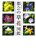 【中古】 都会の草花図鑑／秋山久美子【著】