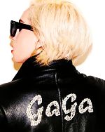 【中古】 LADY　GAGA×TERRY　RICHARDSON／レディー・ガガ，テリーリチャードソン【著】