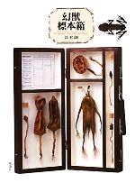 【中古】 幻獣標本箱／江本創【著】
