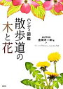 金田洋一郎【著】販売会社/発売会社：講談社発売年月日：2012/02/17JAN：9784062158527