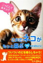 【中古】 これでネコがもっと喜ぶ75の大切なこと/ネコマニア・ラボ【編著】