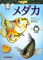 【中古】 いのちのかんさつ(3) メダカ／中山れいこ【著】，アトリエモレリ【制作】，岩松鷹司【監修】