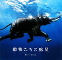 【中古】 動物たちの惑星／スティーヴブルーム【写真】