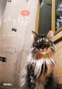 【中古】 パリねこ 人とねこたちの日常/アレッサンドロ・片倉【著】