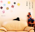 【中古】 しゃべるねこ、しおちゃんの写真集／しんコロ【写真】