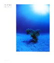 【中古】 Blue Sun/MasuoShibata【著】