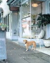 【中古】 beautiful days(いぬ)/市橋織江(著者)