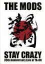 【中古】 STAY　CRAZY／THE　MODS