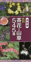 【中古】 色別茶花・山草545種 決定版/主婦の友社(編者)