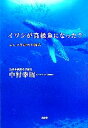 【中古】 イワシが高級魚になった