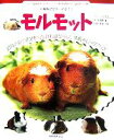 【中古】 モルモット 小動物ビギナーズガイド/すずき莉萌【著】,井川俊彦【写真】