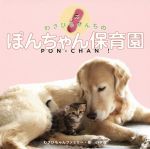 【中古】 わさびちゃんちのぽんちゃん保育園／わさびちゃんファミリー【著】