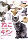 【中古】 ねこキュン 癒しのにゃんこシアター We Love Cat/(趣味/教養)