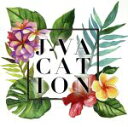 【中古】 J-VACATION/(オムニバス)