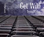 【中古】 GET WILD SONG MAFIA／TM NETWORK