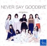  NEVER　SAY　GOODBYE　〜arigatou〜（Web盤　Type−B）（DVD付）／Rev．from　DVL