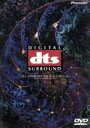 【中古】 dts EXPERIENCE/(趣味/教養)