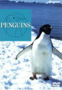 【中古】 PENGUINS/(自然)