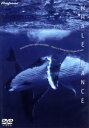 【中古】 WHALE　DANCE／クリスチャン・ペトロン（撮影）