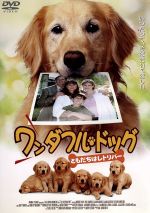 【中古】 ワンダフル・ドッグ−ともだちはレトリバー−／ロバート・ヘイズ