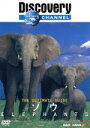 【中古】 Ultimate Guide ゾウ/(ドキュメンタリー)