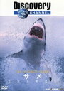 【中古】 Ultimate　Guide　サメ／（ドキュメンタリー） 【中古】afb