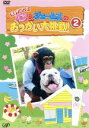 【中古】 パン&ジェームズのおつかい大挑戦!(2)/(バラエティ),パンくん(チンパンジー),ジェームズ(ブルドッグ)