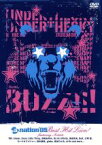 【中古】 a－nation’2005　BEST　HIT　LIVE／（V．A．）