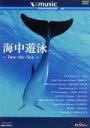 【中古】 「海中遊泳〜Into The Sea〜」V−music06/(BGV)