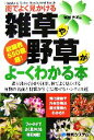 【中古】 街でよく見かける雑草や野草がよーくわかる本／岩槻秀明【著】