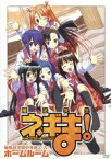 【中古】 魔法先生ネギま！　麻帆良学園中等部2－A：ホームルーム／加藤はつえ（キャラクターデザイン、作画監督）,錦織博（絵コンテ、演出）,佐藤利奈（ネギ・スプリングフィールド）,神田朱未（神楽坂明日菜）,野中藍（近衛木乃香）,こやまみきこ（鳴滝