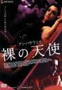 バーバラ・コップル（監督）,アン・ハサウェイ,ビジュー・フィリップス,フレディ・ロドリゲス販売会社/発売会社：NBC　ユニバーサル・エンターテイメントジャパン(NBC　ユニバーサル・エンターテイメントジャパン)発売年月日：2007/04/25JAN：4988102358037裕福な家庭に生まれながら堕落した日々を送る娘アリソンがメキシコ人の売人と出会い、ストリート・ギャングの生き方に魅了され、体を投げ出してしまう……。アン・ハサウェイが大胆なシーンに挑戦したエロス・ミステリー。